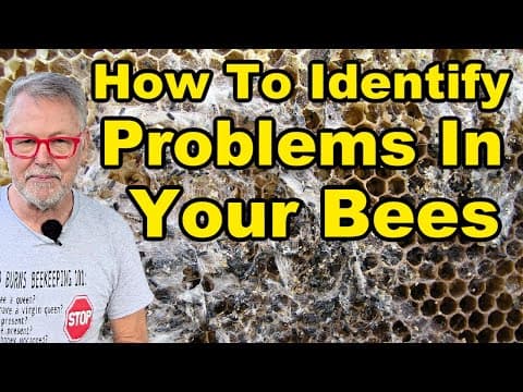 Beekeeping: Reading Frames For Diseases