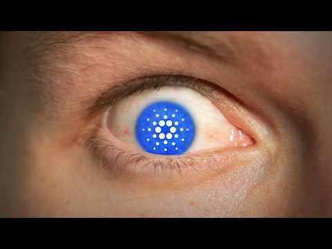 We Need To Talk About Cardano