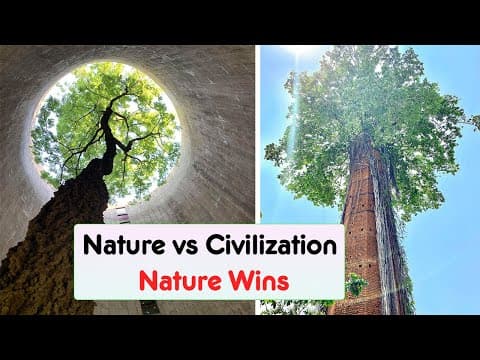 Incredible Times Nature Proved It’s Still The Real Boss