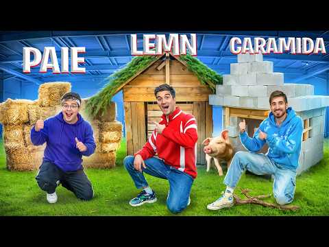 Casa Din Paie, Lemn Sau Caramida! Care Rezista?