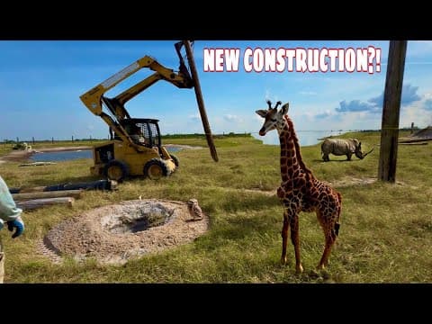 Building The Biggest Enclosure Ever! *insane*