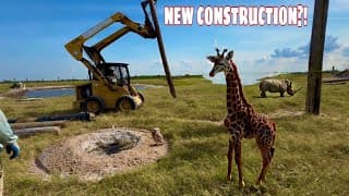 Building The Biggest Enclosure Ever! *insane*