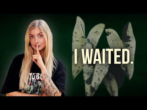 Plants I’ve Been Growing Off-camera (until I Was Sure)