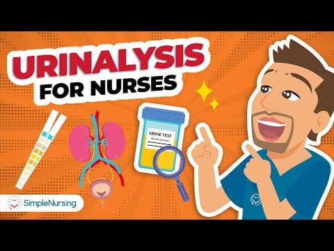 Urinalysis For Nurses | Nclex Lab Values Made Simple