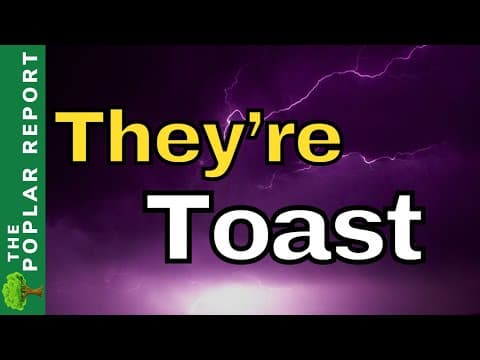 🚨🚨it's All Collapsing In Minnesota...