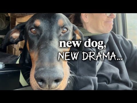 We’ve Already Had Two Vet Visits And I’ve Only Had This Dog For A Week!