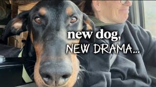 We’ve Already Had Two Vet Visits And I’ve Only Had This Dog For A Week!