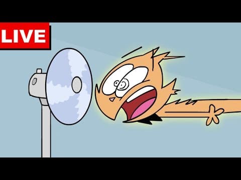 🔴dtoons Tv: Conroy Cat And Co. + More Cartoon Marathon