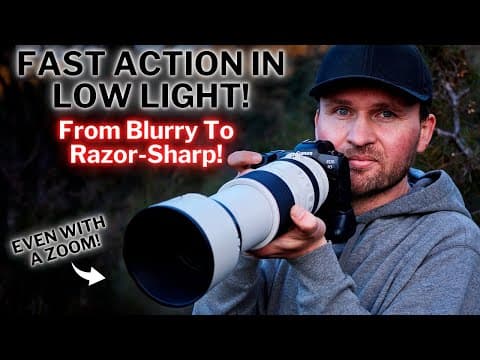 Fast Action In Low Light! |  Razor-sharp Birds-of-paradise!
