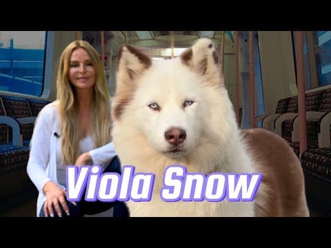Viola Snow - I Meet The World's Most Famous Husky!