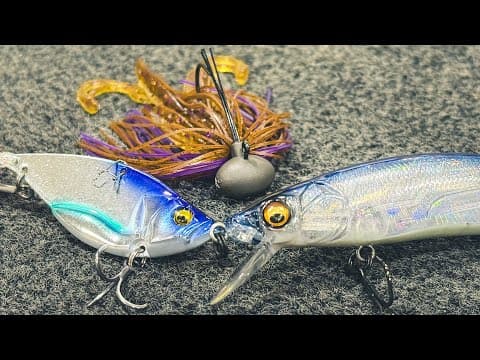 Where Do Bass Go In Winter? (and Our Top Baits To Catch Them)