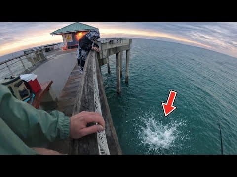 Well That Worked! Tossing Live Minnows Vs. Jigs To Catch These Pier Fishing!