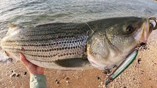 Cool Weather Turns On Surf Fishing Bite + New Heybike E-bike Review!