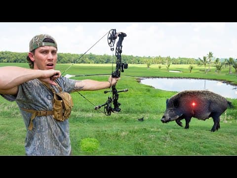 48 Hours Off-grid Swamp Survival!! (bow Hunting Wild Hogs)