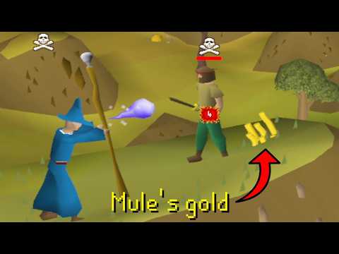 At 12:01 Am Every Night I’m In A War With This Bot Farm