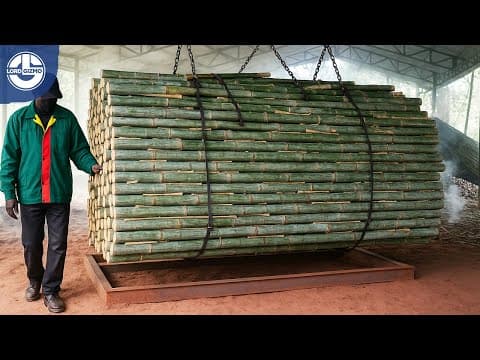 Incredible Process Of Turning Millions Of Tons Of Bamboo Into Plywood, Houses And Chopsticks