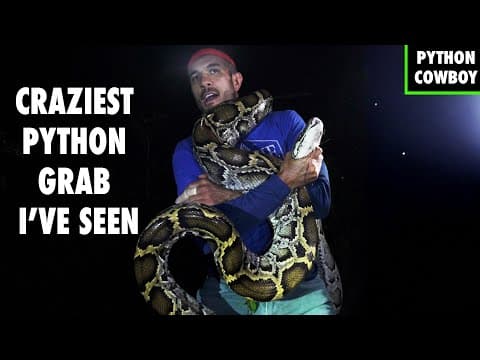 I’ve Never Seen A Giant Python Captured Like This Before