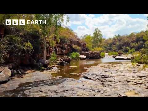 Navigating Australia's Unforgiving Wilderness | Without Limits: Australia | Bbc Earth Explore