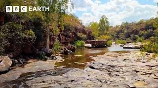 Navigating Australia's Unforgiving Wilderness | Without Limits: Australia | Bbc Earth Explore