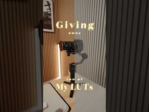 (10 of) The Everyday LUTs are Free 🎨🎬