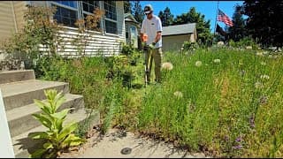 Everyone Puzzled When Family Disappears Mid Lunch To Never Return