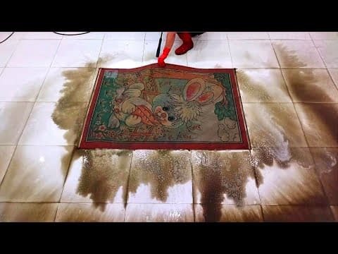 The Struggle Of The Carpet That Is Too Dirty To Touch