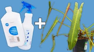 I Tested Full Strength Alcohol So You Don't Have To