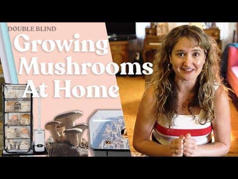 Mushroom Growing At Home 🏠 | Doubleblind