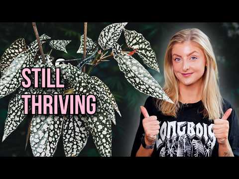 These Plants Are Thriving In Winter!