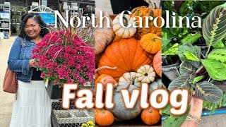 Cozy Autumn Day Out: Decor, Plants & Food! 🍂