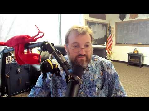 Surprise Ama 11/11/2025