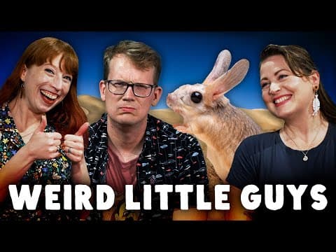 Which Beast Is The Weirdest Little Guy?