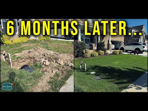 What Happened To My Brothers Lawn?