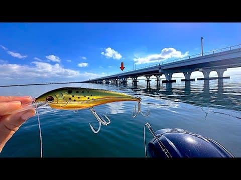 Fishing Under This Huge! Bridge In Pensacola Bay When I Caught This! [multiple Species]