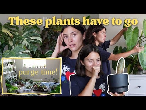 Can't Let Go Of My Plants And Here's Why