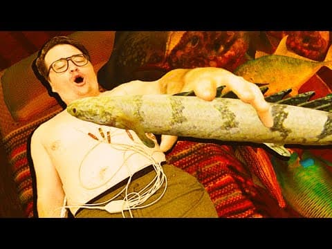 Tell My Wife I've Gone Fishing