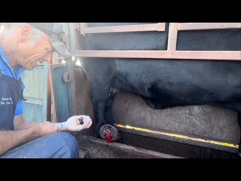 Whoa! That Is One Crazy Tumor!