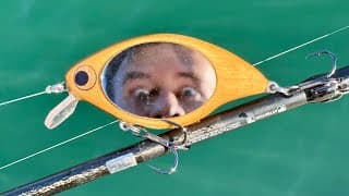 Forcing Fish To Take A Look In The Mirror