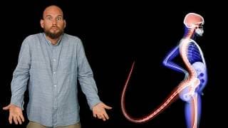 Perché Abbiamo Perso La Coda?