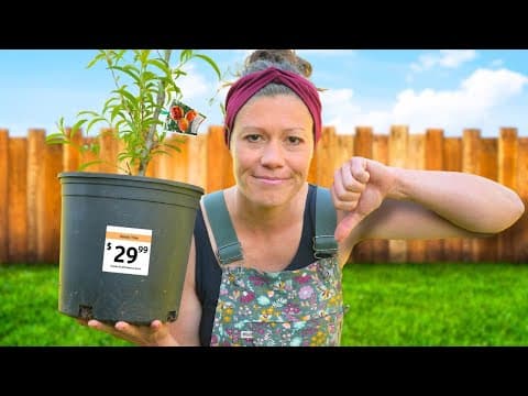 Potted Fruit Trees Are a Ripoff.