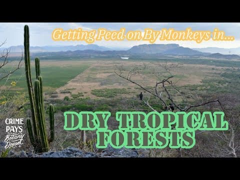 Getting Peed On By Monkeys In Dry Tropical Forests