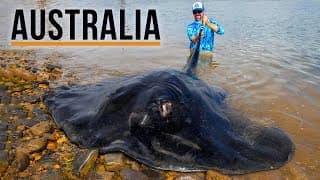 Giant Australian River Monster