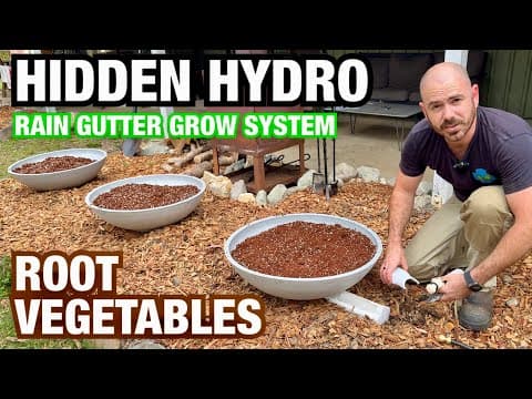 Hydroponic Root Vegetables In A Rain Gutter Grow System