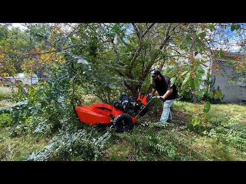 The Neighbor Stopped Me While Working To Warn Me - "someone Is In The House!!"  --- Dr Power Xd26