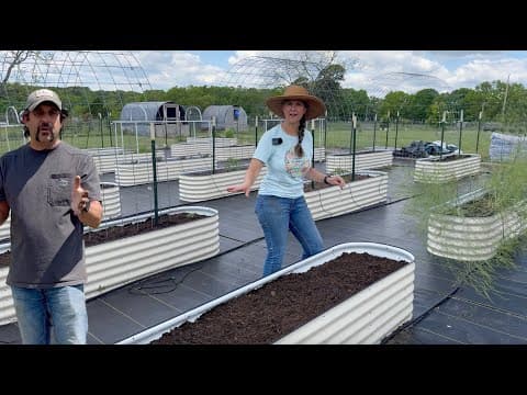 The Best Decision We’ve Made…growing In Raised Beds!