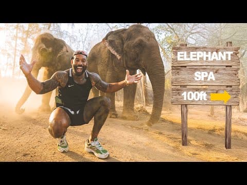 Private Tour Of An Indian Billionaires Elephant Sanctuary Vantara (emotional)