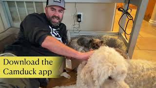 Camduck 4k Hidden Camera Review | Full Setup, Night Vision & App Test