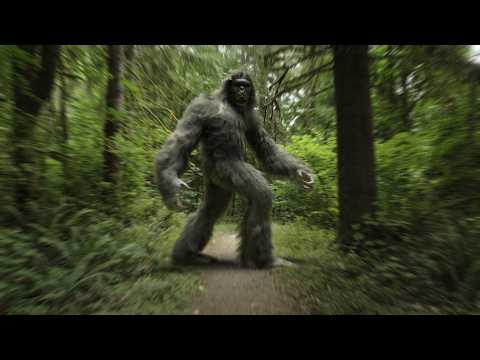 The Legend Of Bigfoot - Short Film