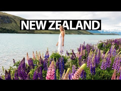 The Ultimate 9-day New Zealand Road Trip In 2026 (rv & Campervan Itinerary)