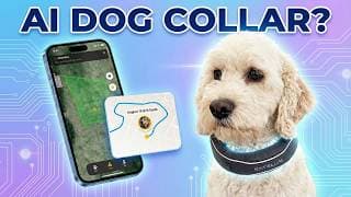 Ai For Your Dog? Satellai Dog Collar Is Insane